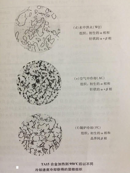 1520843577857199.jpg 7-19.jpg