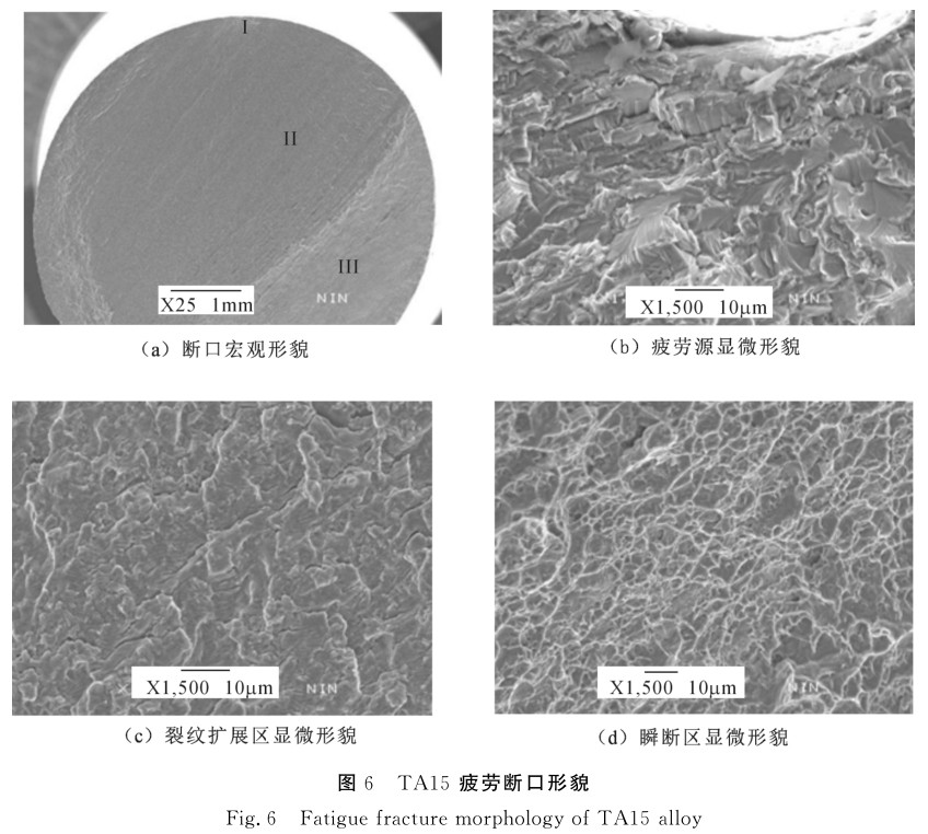 1635581670671952.jpg 6.jpg