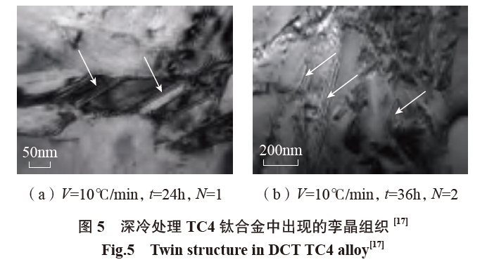 1658934734478645.jpg 5.jpg