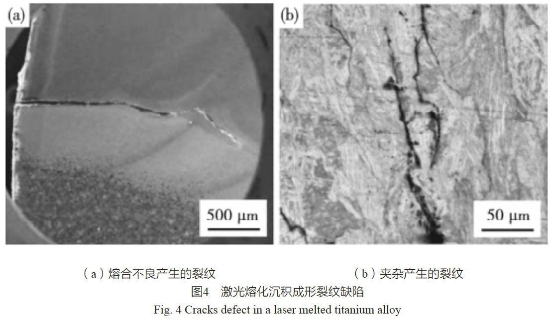 1668851897873979.jpg nt4.jpg