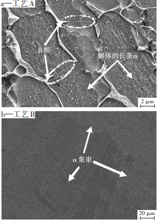 1676695579593691.png 4.png