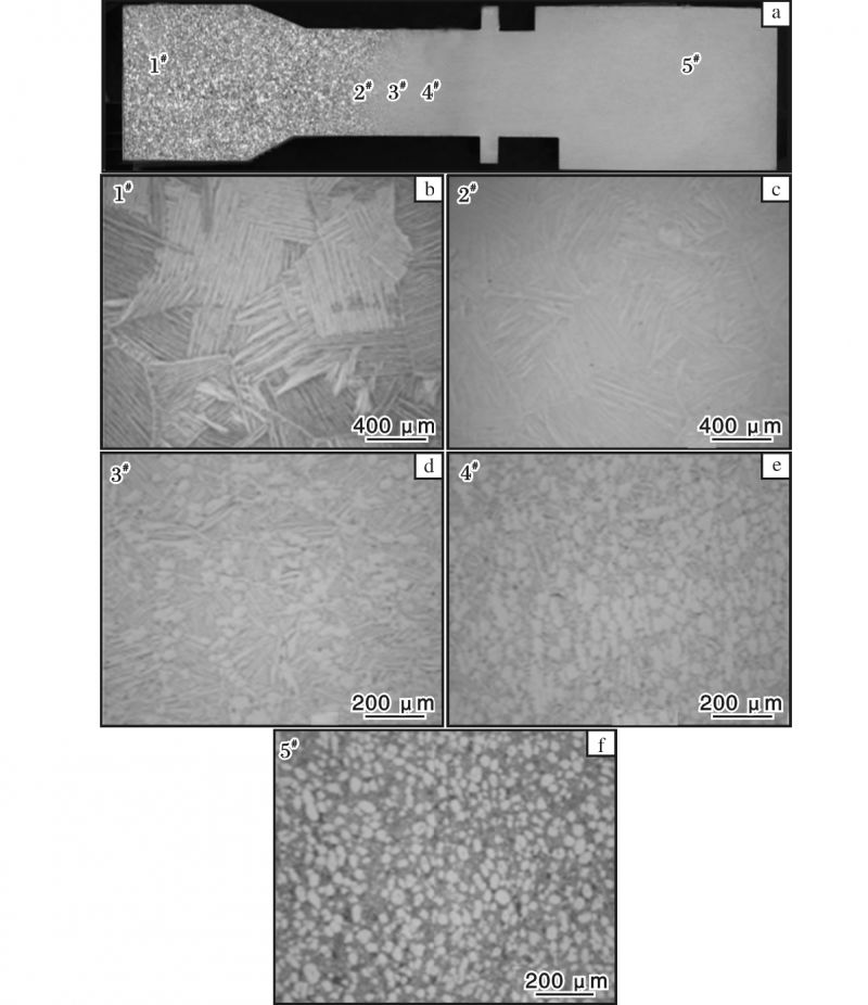 1679453662452638.jpg t6.jpg