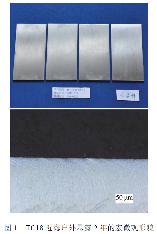 1683459377207669.jpg t1.jpg