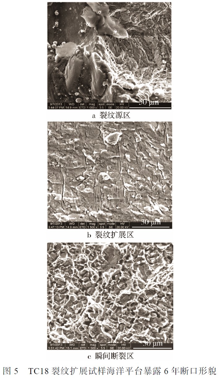 1683459432447149.jpg t5.jpg