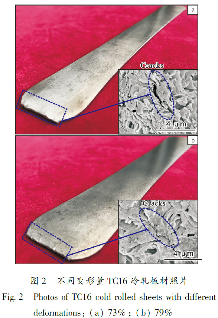 1684900251422812.jpg t2.jpg