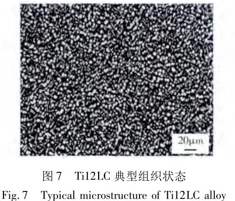 1686486471693922.jpg t7.jpg