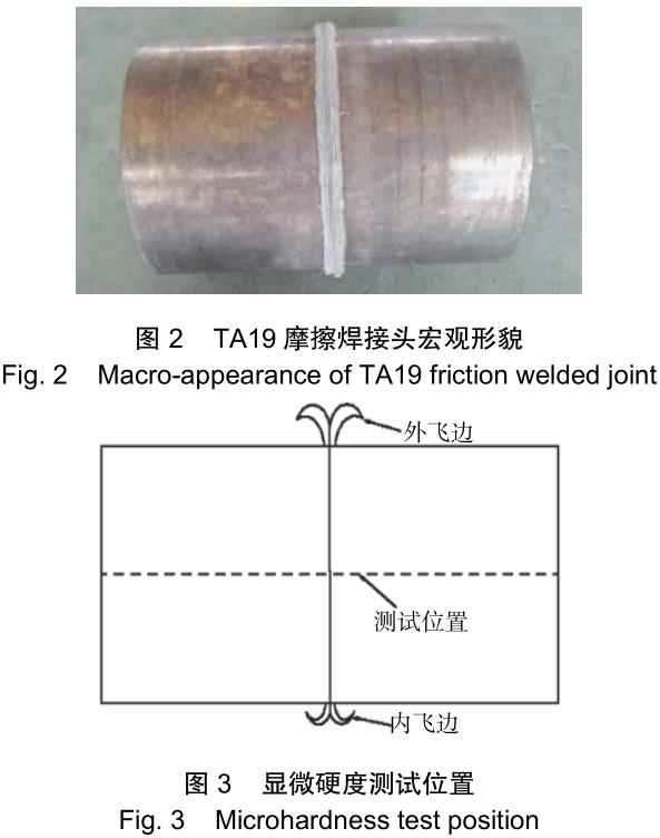 1706279109586844.jpg t2-3.jpg