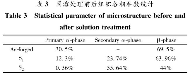 1708421090435756.jpg b3.jpg