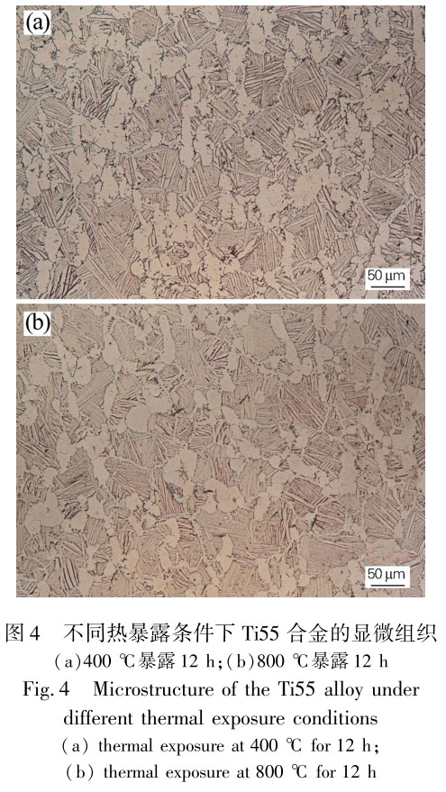 1711447294696716.jpg t4.jpg