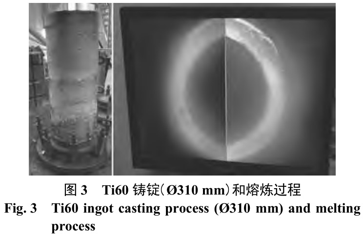 1712460611343696.jpg t3.jpg