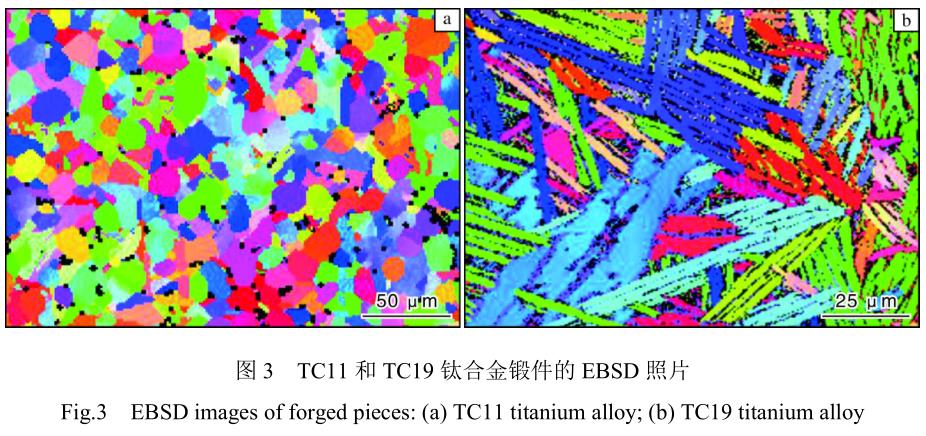 1713444010323536.jpg 360截圖16440811112128101.jpg