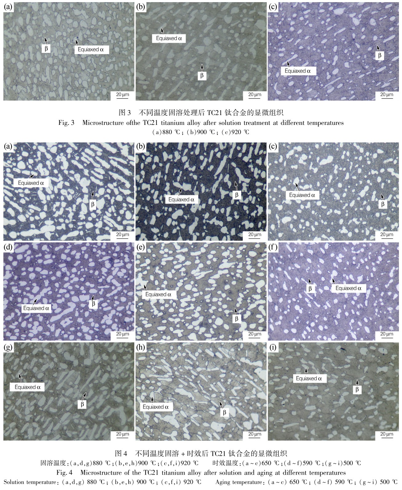 1715503023904497.jpg t3-4.jpg