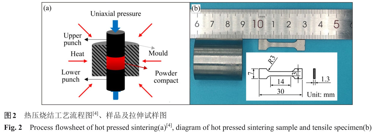 1723726125429269.jpg t2.jpg