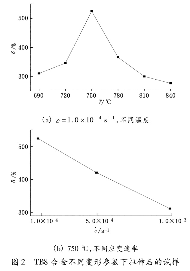 1730257583705172.jpg t2.jpg