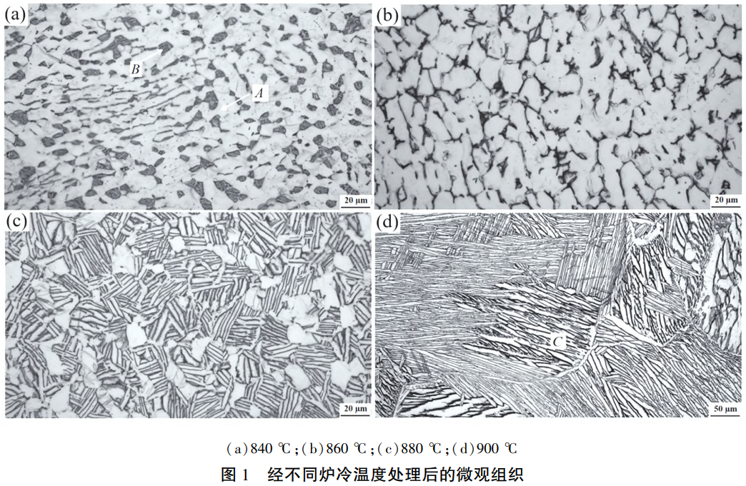 1731123377934922.png 截圖20241109113514.png