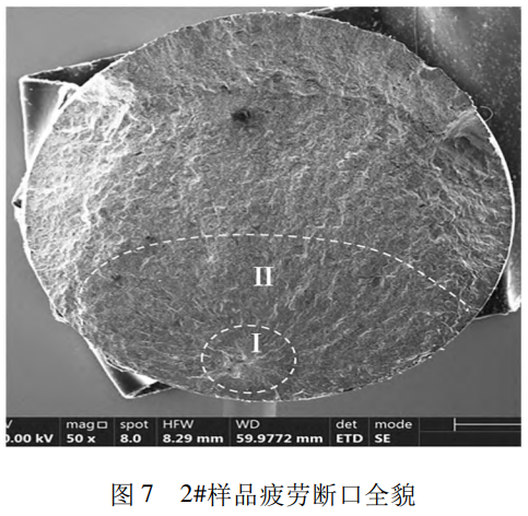 1739631082991752.png 7.png