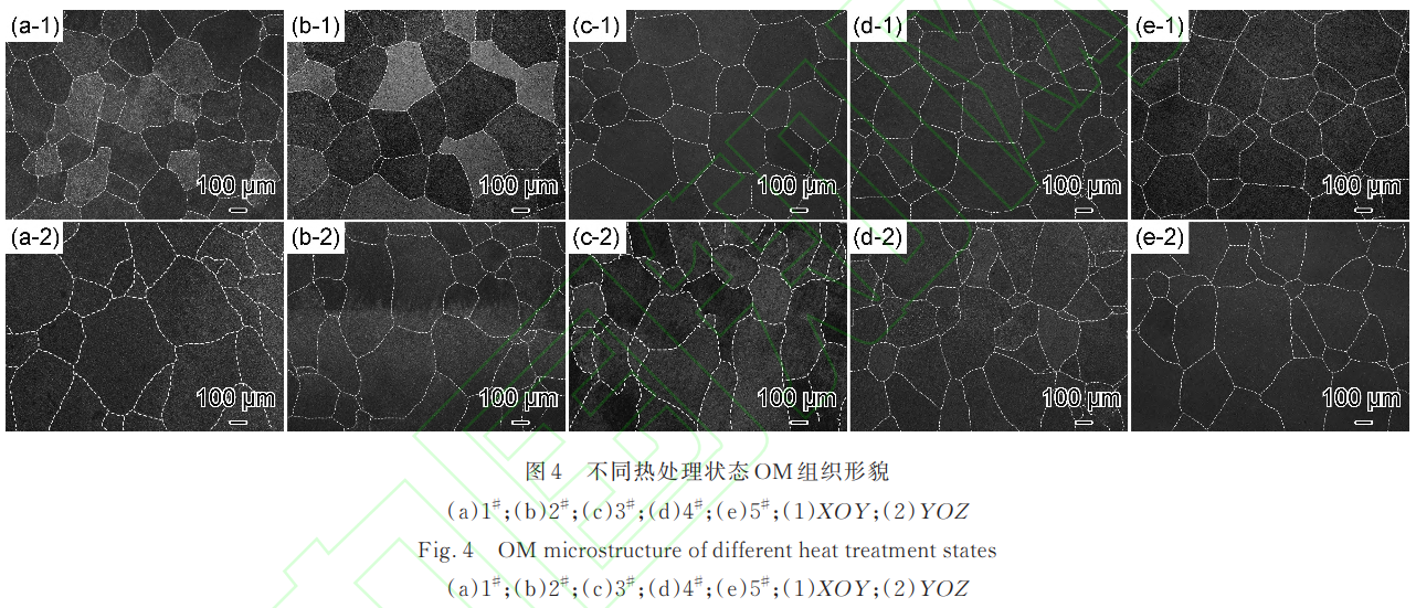 1743388837705199.png 截圖20250331103728.png