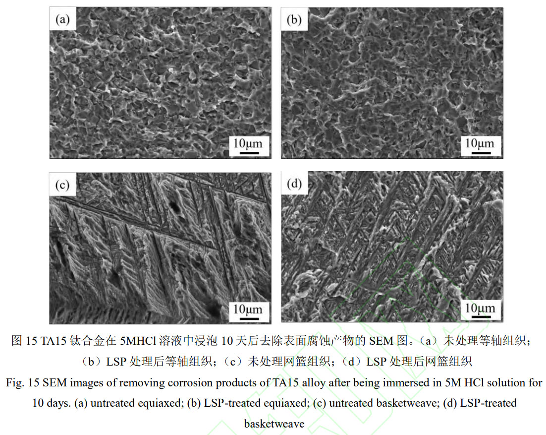 1756392905865536.jpg 未標(biāo)題-8.jpg