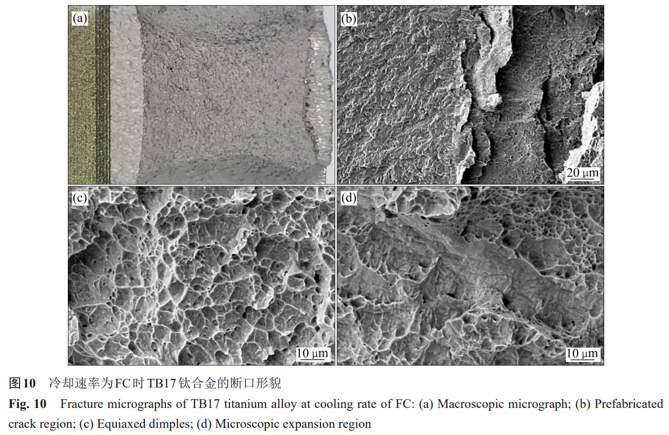 1759845314902396.jpg 未標題-4.jpg