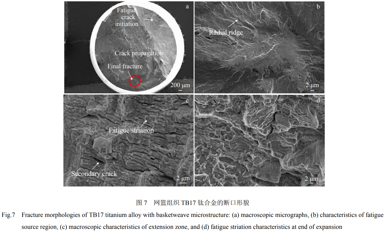 1760946524702881.png 截圖20251020154555.png