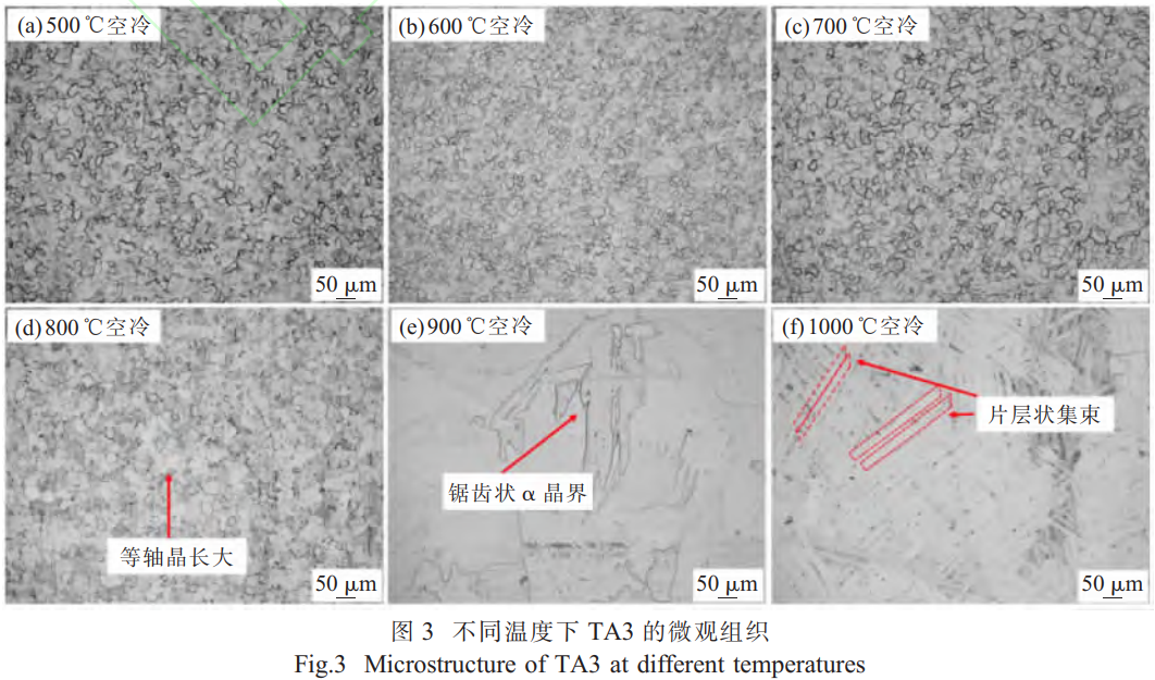 1765877819805100.png 截圖20251216173445.png