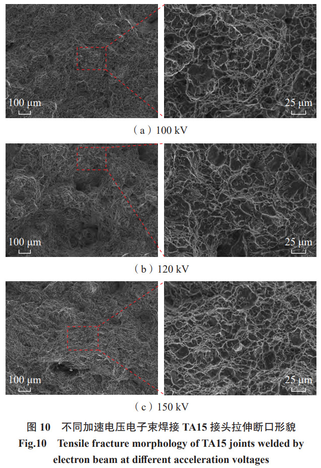 1768825604740728.jpg 10.jpg