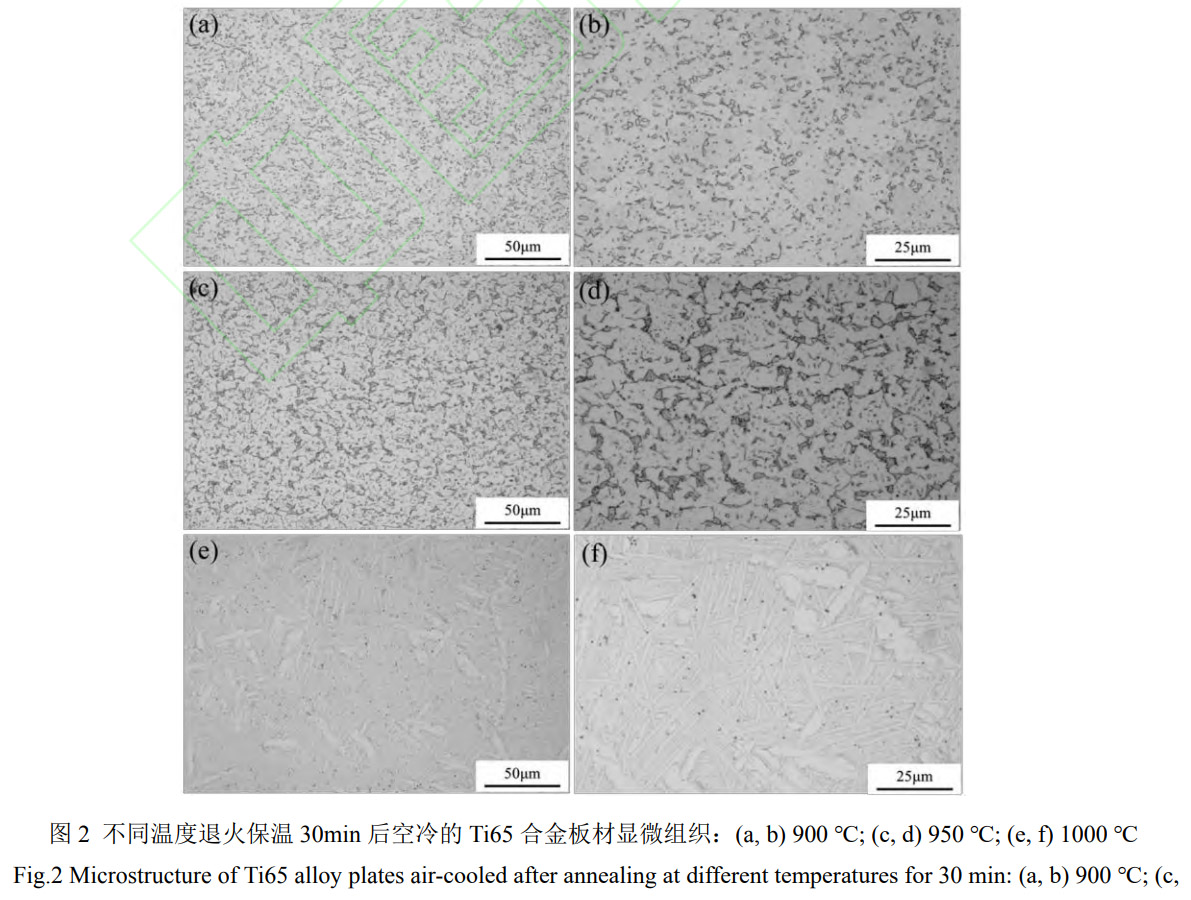 1769330536558259.jpg 2.jpg