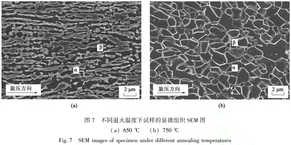 1772675787599002.png 7.png