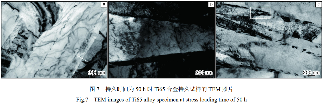 1773199718679805.png 7.png