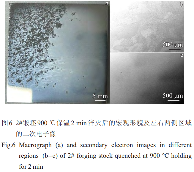 1773284785863211.png 6.png