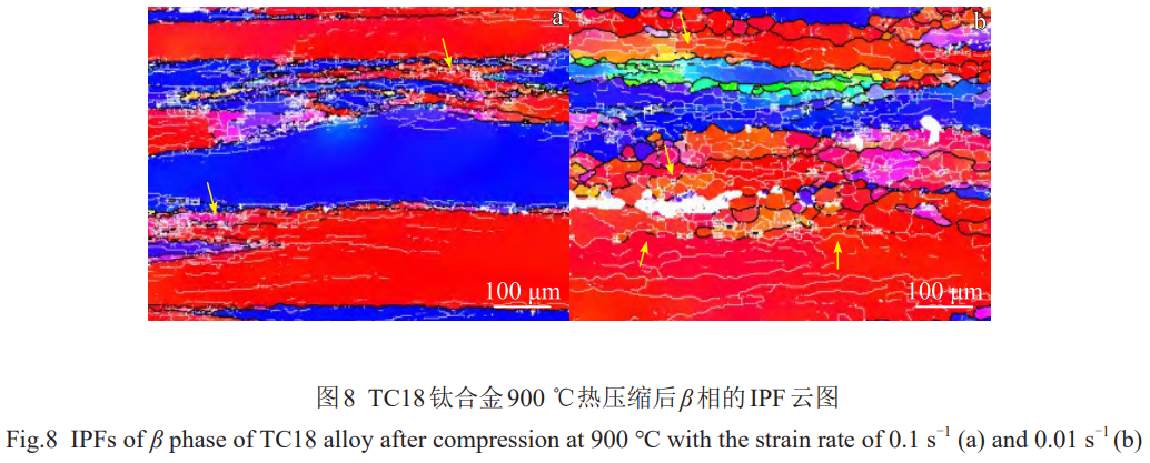 1773284819255992.png 8.png