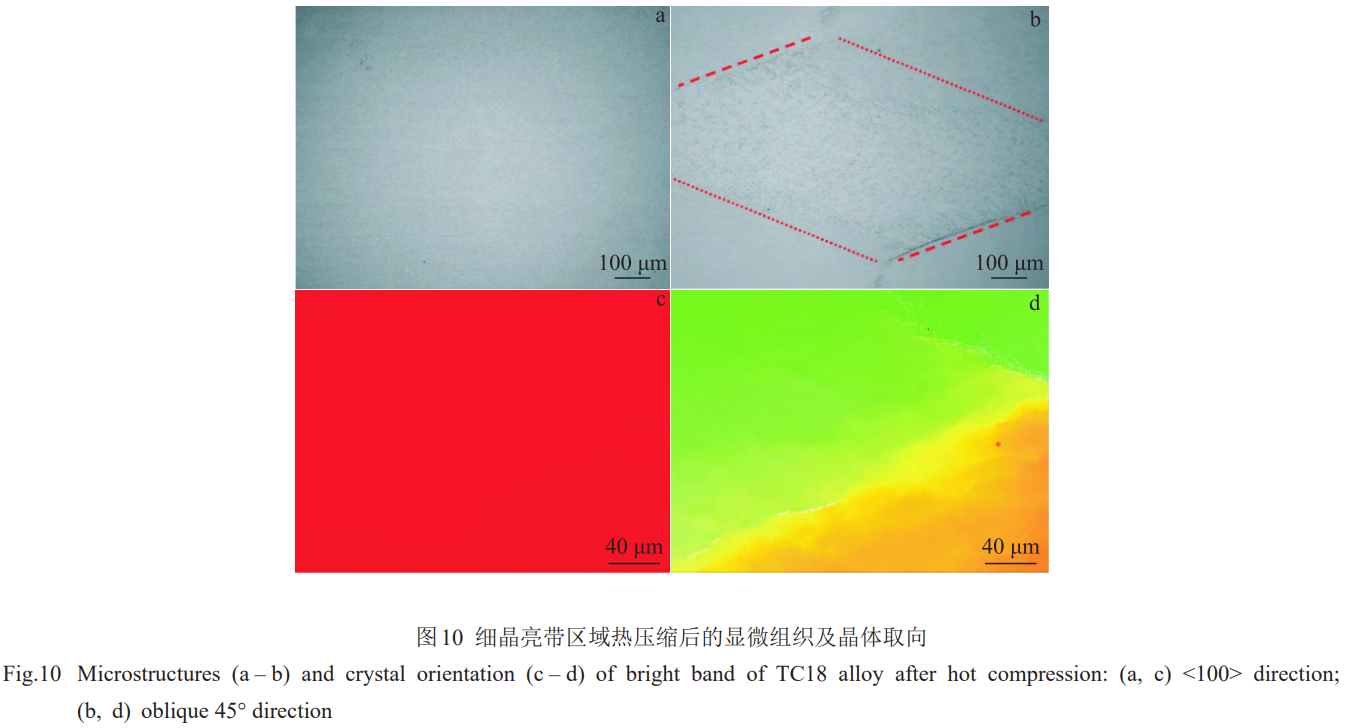 1773284839544147.png 10.png